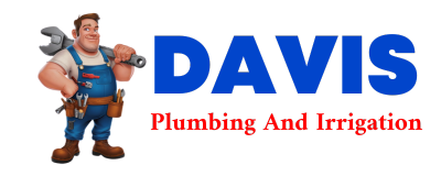 Trusted plumber in EFFIE